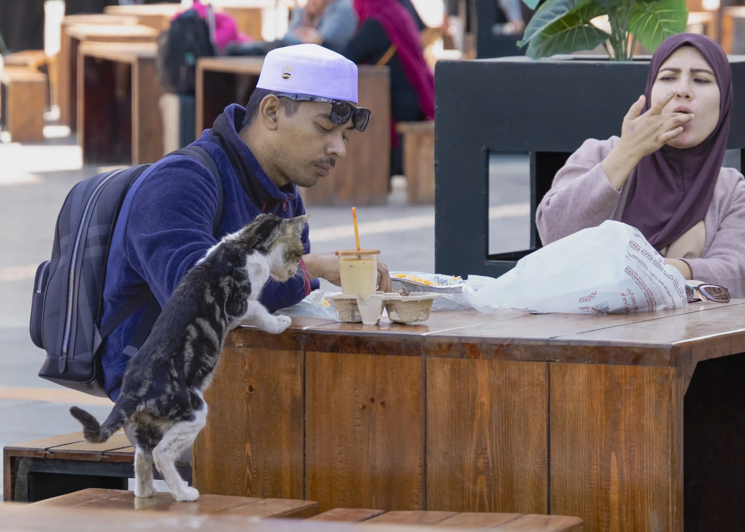 Escena cotidiana en Medina de una pareja de peregrinos almorzando con la visita de un gato. 