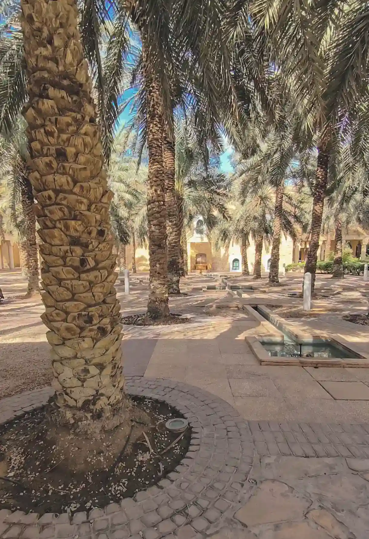 Patio de las palmeras en el Museo Nacional de Riad.